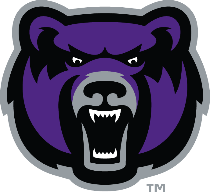 Central Arkansas Bears 2009-Pres Alternate Logo v8 iron on transfers for fabric